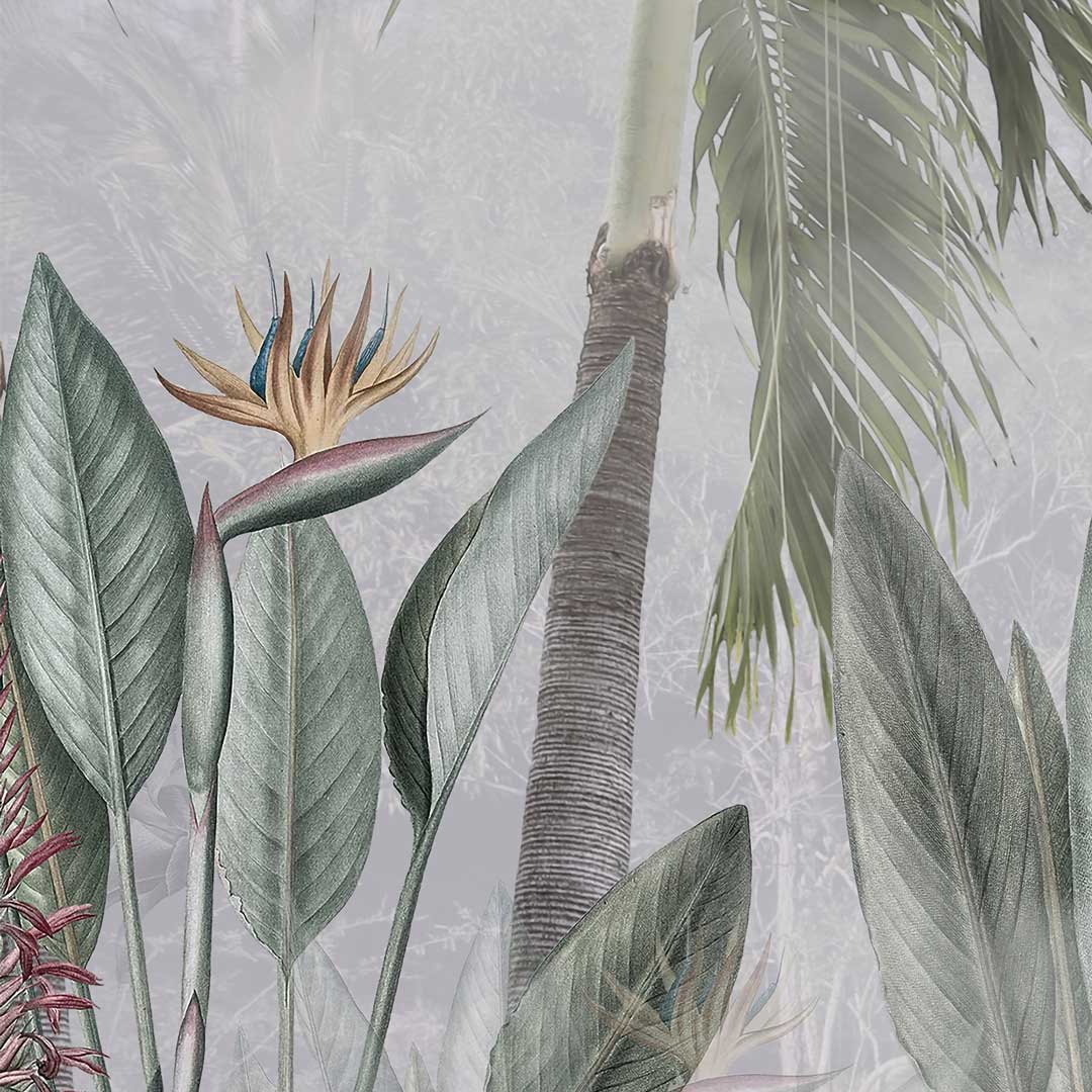 Tapeta: zelené banánové listy